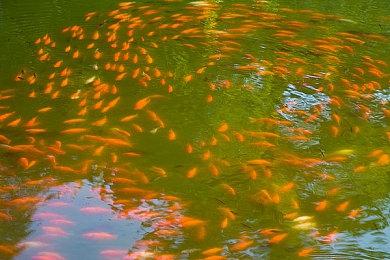 Steam解谜游戏节活动开启 多款名作大幅优惠